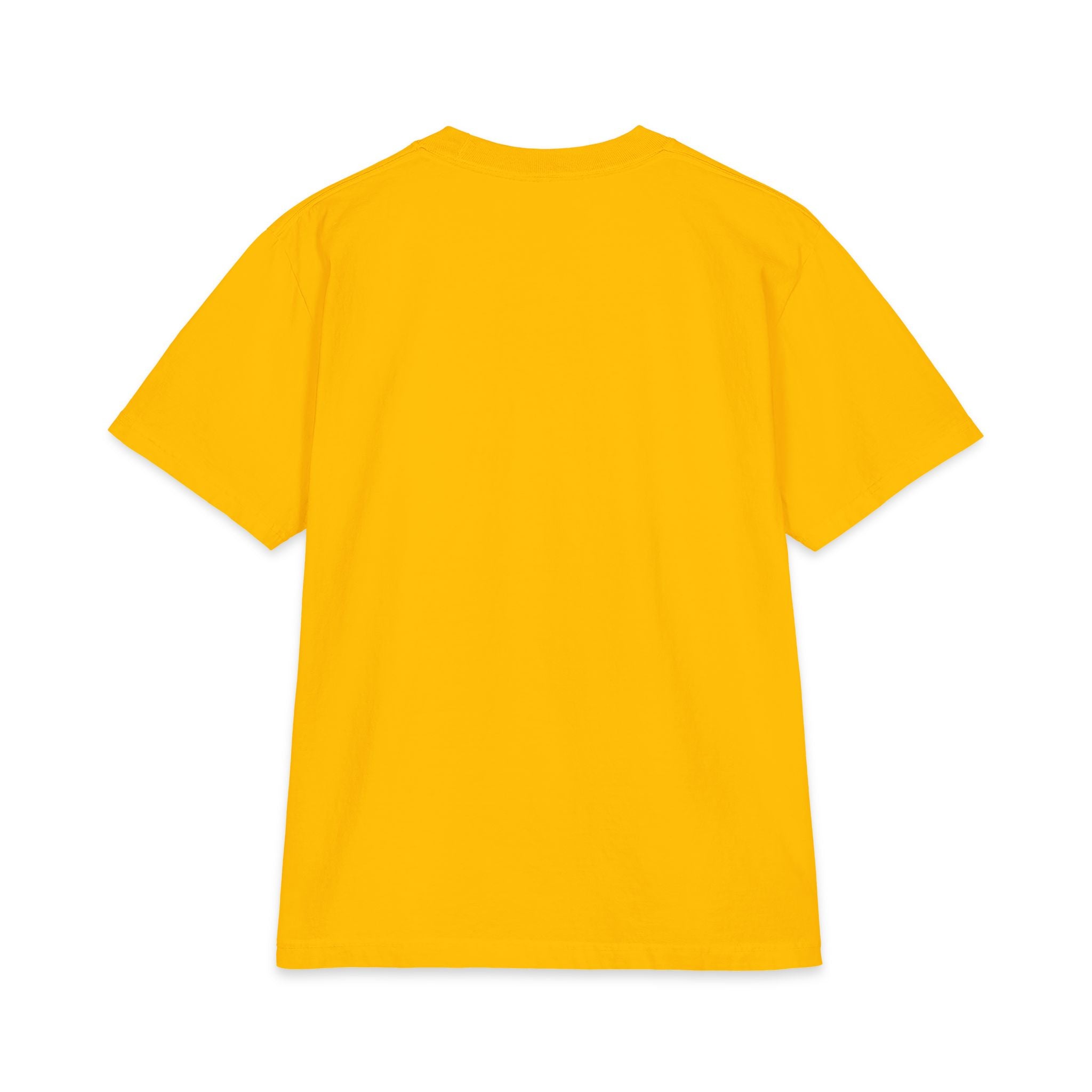 "Come To Me" Jesus T-Shirt (Matthew 11:28)